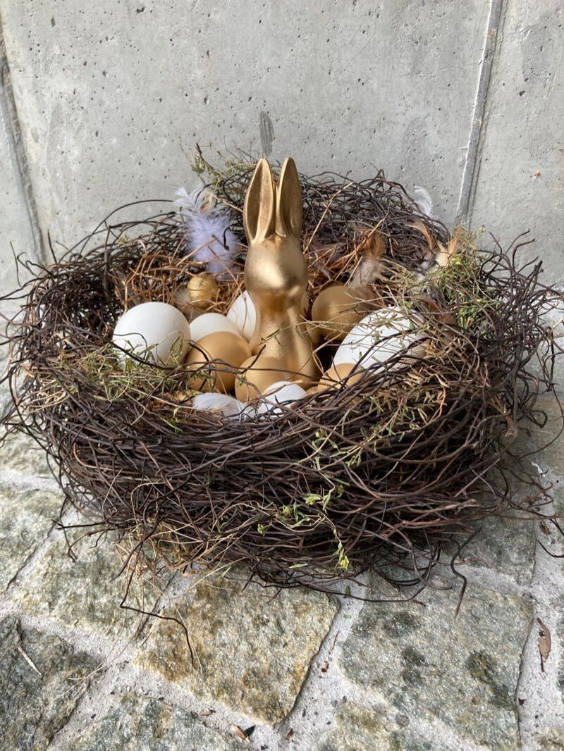 Osternest mit Muehlenbeckia