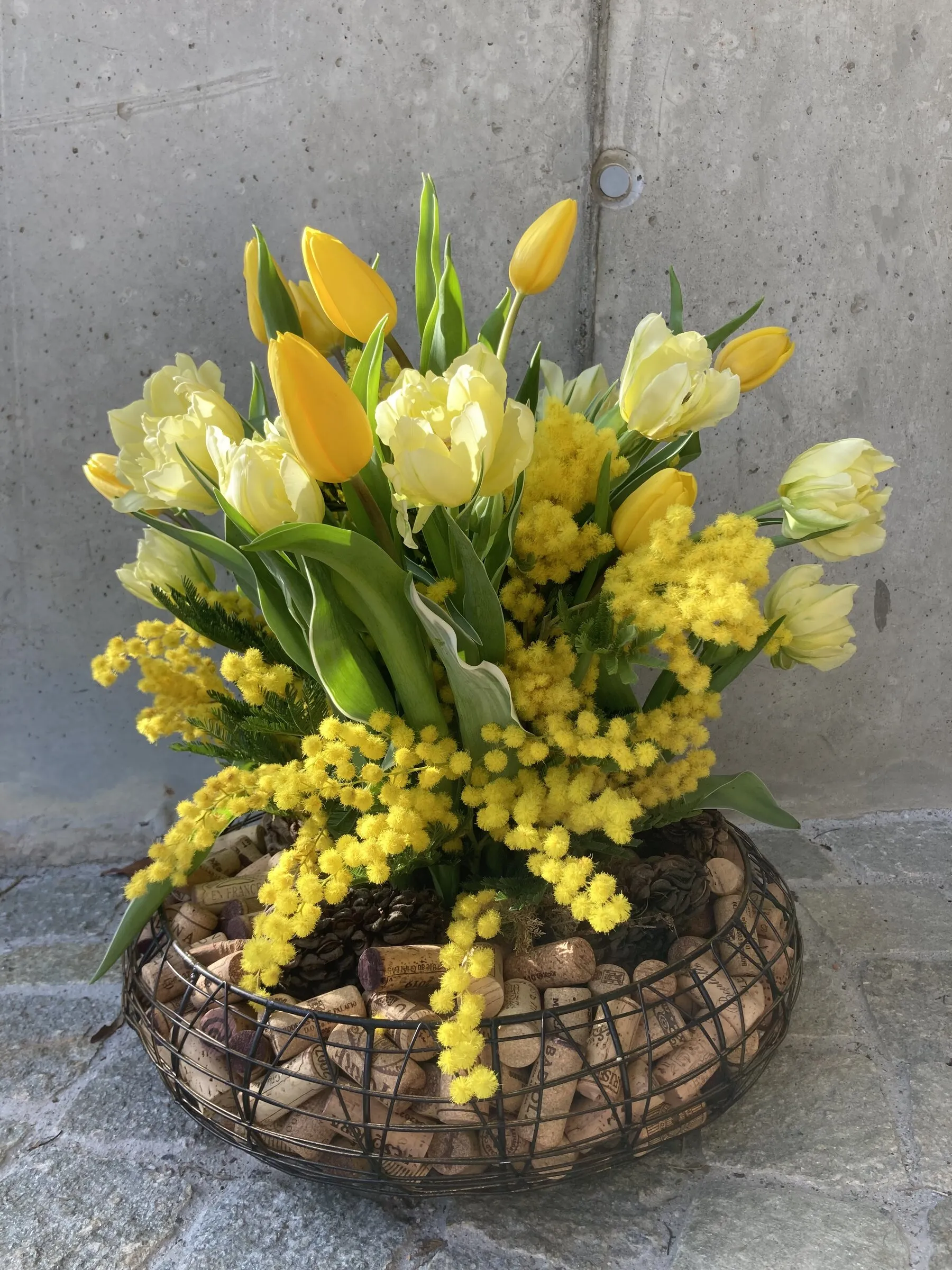 Frühlingsgesteck im Drahtkorb mit gelben Tulpen und Mimosen